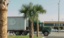 [A Picture Will Appear Here]