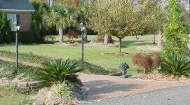 [A Picture Will Appear Here]