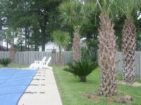 [A Picture Will Appear Here]