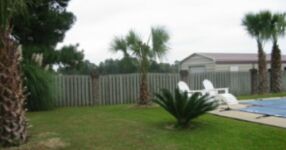 [A Picture Will Appear Here]